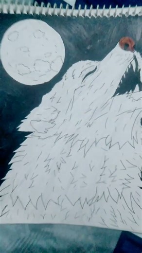 howling wolf drawing