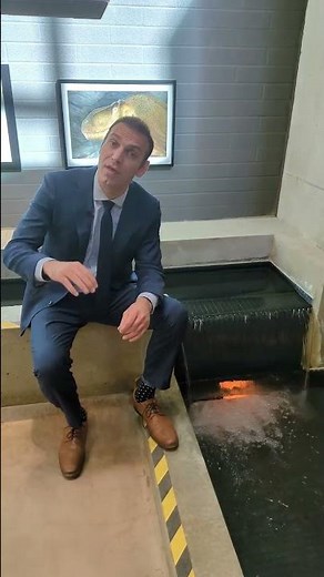 Understanding the Waterfall Distribution in Private Equity