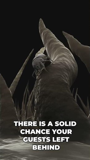 That itchy rash after guests leave isn't random! #skincare #homehacks #itchyskin #diy #mitekiller