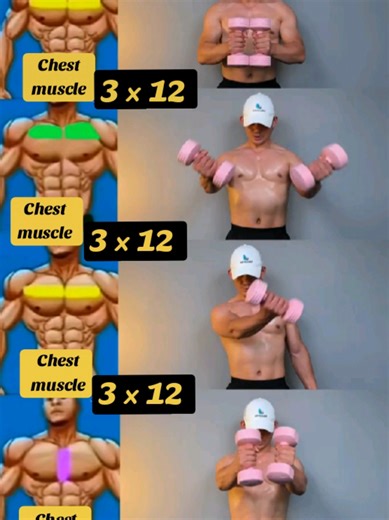 💯💪Comprehensive Guide to Chest Muscle Workouts #fitness #chest #muscles #mancuernas #gymmotivation