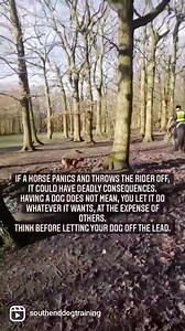 81K views · 1K reactions | It’s 2023 !!! So let’s start the new year right. Let’s make sure stuff like this doesn’t happen and we keep dogs on a lead that have no recall, for their safety and the safety of others. Please Respect Horse Riders #dogsofinstagram #dogtraining | Southend Dog Training | Facebook