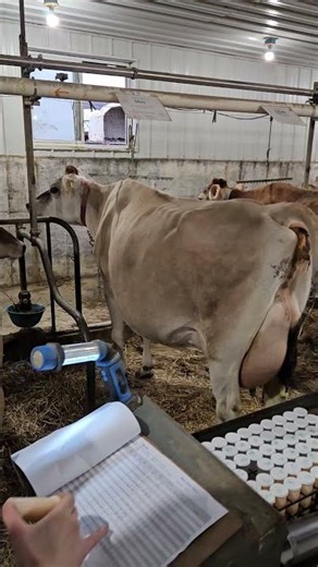 How We Test Milk on our Farm. #farming #cows #milking