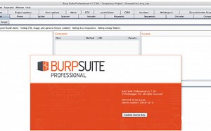 burpsuite使用详解-详细讲解了各个场景使用
