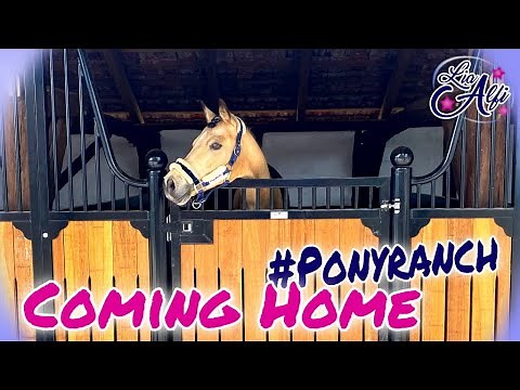 Lia & Alfi - The Ponies and Dallas Come Home - The Move