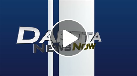 Renovated red wolf habitat opens at the Great Plains Zoo - NewsBreak