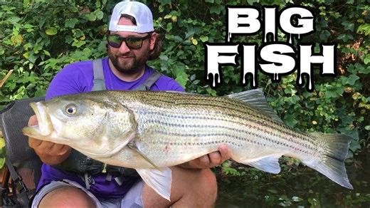 Chasing giant river monsters from a kayak