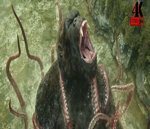 9.5M views · 89K reactions | Best Action Movie | HI CRUSH | Facebook