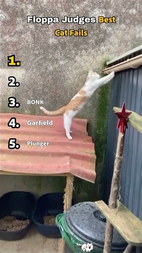 Floppa Judges Best Cat Fails #floppa #caracal #cat #ranking #catvideos #cats #funny #top5 #fails