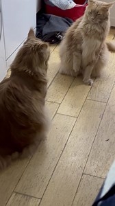 Fight club is open just when I need to use the washing machine! | The Magnificats