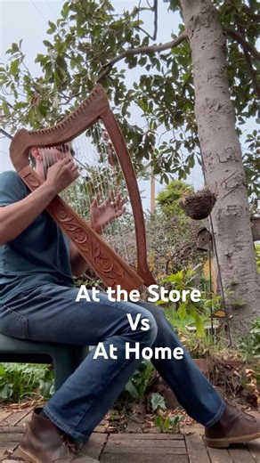 My First Harp - Roosebeck Heather 22 String