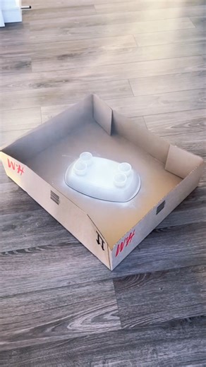 勞 This DIY tray looks LUXE but costs almost nothing! #diyhomedecor #diydecor #diytray #budgetdecor #budgetfriendly #budgethome #luxedecor #expensivelook #homedecor #interiorinspo #minimaldecor #tabledecor #homeaccessories #diyprojects #easyDIY #viralhome | Classic Home Design | Facebook