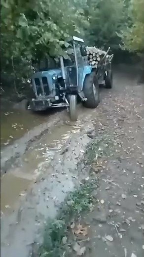 Rakovica ili imt traktor #tractor #imt #automobile #shortvideo