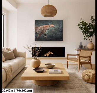 Cheetah in Rain Wildlife Photography Print – Dramatic Safari Fine Art Wall Decor - Etsy