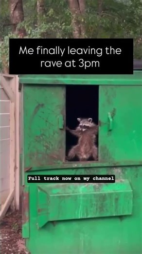 #rave #afterparty #techno #technomusic #technolovers #old #memories #yt #ytshorts #ytviral #viral