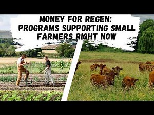 Money for Regen: Programs Supporting Small Farmers Right Now