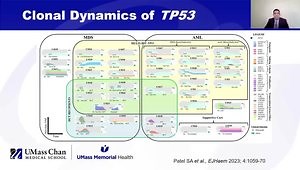 TP53-Mutant AML: Disease Biology, Targeted Therapies, and HSCT Insights