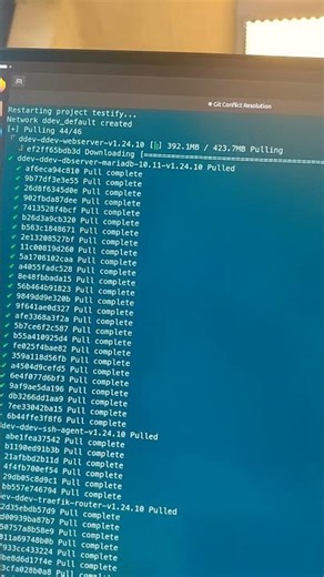 The DDEV update to version 1.24.10 is always worthwhile, but it also involves a lot of data trans...