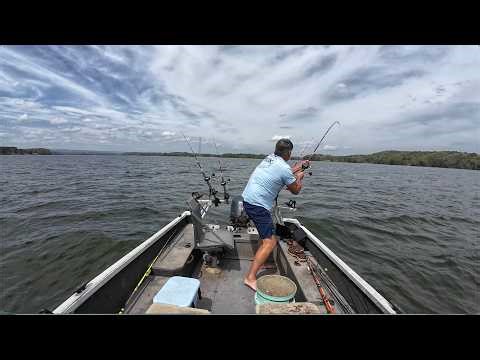You could Catch A Big Fish During A Bad Bite