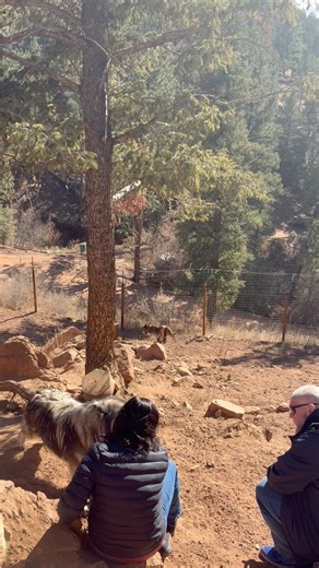 1K views · 43 reactions | Tours at Mattersville are more than just a...