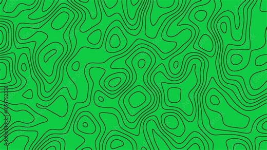 Abstract topography white stripes background motion loop footage video with geo map pattern, best for motion graphics and design projects, fractal lines background, Moving waves on black background 4k