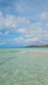 144K views · 4K reactions | ️ Reel cred: @jojos.venture Look at...