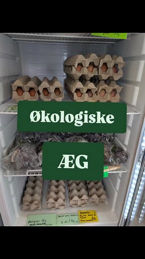🥚 Første æg fra det nye hønsehold 💚 Masser af friske, økologiske æg i køleskabet i gårdbutikken - Fyld favnen med sæsonens øko grøntsager, mikrogrønt og østershatte. 🥦 Der er noget helt særligt ved at spise gode råvarer - frisk høstet, dyrket skånsomt med ekstra optanke for natur, dyr og mennesker 🌱 🕰️ Altid åbent for høflig selvbetjening 📍 Lystrupvej 16, 8781 Stenderup 💳 Betaling via MobilePay 🚗 Parkér i gårdspladsen 🌿 Støt dit nærområde – naturen og menneskerne, der passer jorden her 
