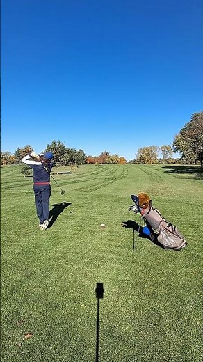 Some of these actually hit the fairway. #golf #golfswing #golfer #golflife #golftips #shorts