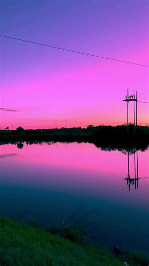 Spring Break in Tampa Bay? Here’s an idea most don’t know about. At Empower Adventures, you’ll zip across a 400-acre wildlife preserve on a fully guided zip line adventure featuring 5 zip lines, 4 aerial obstacles, and a 200’ suspension bridge. Enjoy stunning views of Tampa Bay from high in the sky. It’s a 2-hour outdoor experience for ages 7 that gets everyone off their screens and into the trees. Perfect for families, teens, and visiting relatives looking for a memorable Spring Break activity.