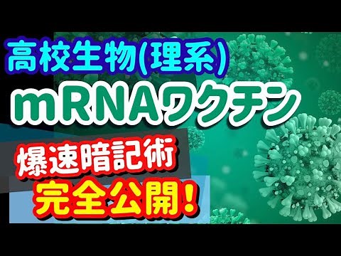 【高校生物 141】【mRNAワクチンの効果とシステム】を宇宙一わかりやすく