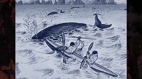 “It was coming right at me” - What locals said they saw in Scape Ore Swamp