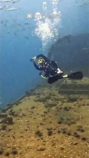 🐟 Massive Barracuda Schools at HTMS Chang Wreck ⚓