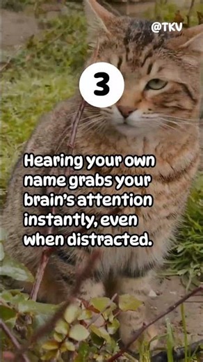 Strange Psychology Facts That Control Your Mind 🧠😳