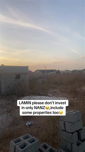 Investing Tips Beyond NANZ: A Gambian Perspective