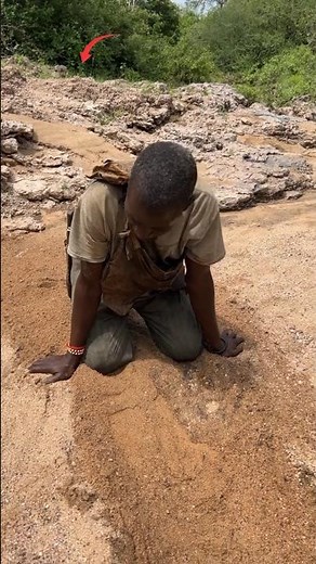 How Tribes Find Hidden Water Without Tools – Ancient Survival Secrets