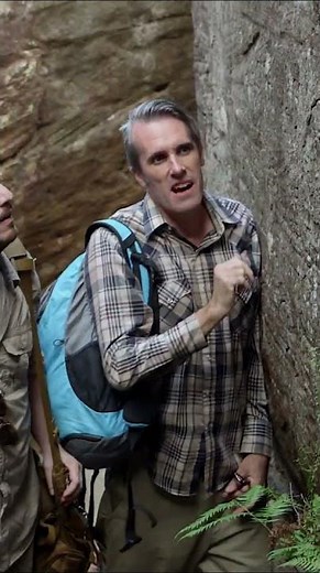 Mysterious UFO Hieroglyph Discovered! | Ancient Aliens Special Presentation | #Shorts