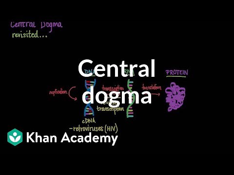 Central dogma - revisited | Chemical processes | MCAT | Khan Academy