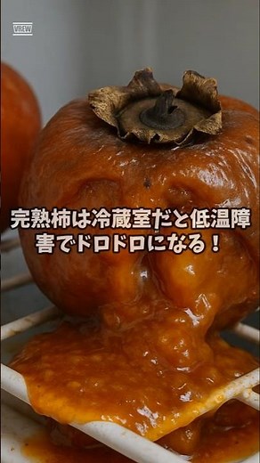 冷やしすぎ注意！熟した柿は“野菜室”が正解！#キッチンのトリセツ #柿の保存 #料理の裏ワザ #秋の味覚 #野菜室保存 #モテ兄弟 #ai #aiアニメ