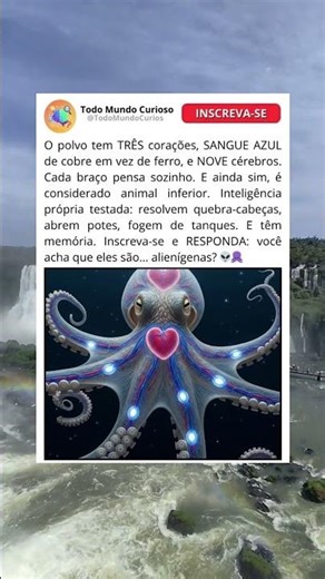 O Animal Com 3 Corações E Sangue Azul Real