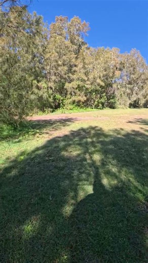 Escape the City: Narrabeen Lagoon 4K Nature POV