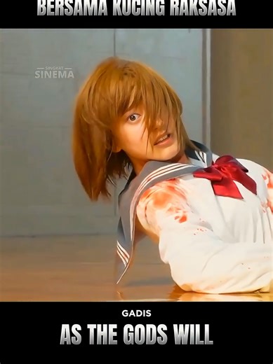 Terjebak Bersama Kucing Besar: Drama Menghibur