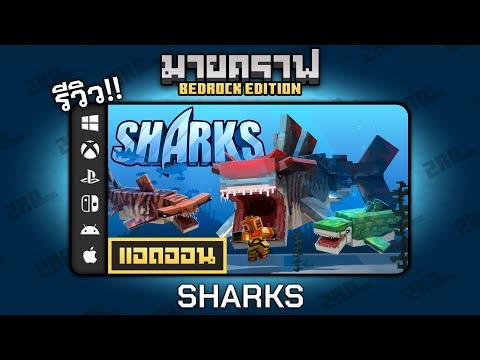 รีวิวแอดออน Sharks "เพิ่มฉลามใหม่ พร้อมอุปกรณ์ดําน้ํา 🤿" Addon ใน Minecraft Bedrock