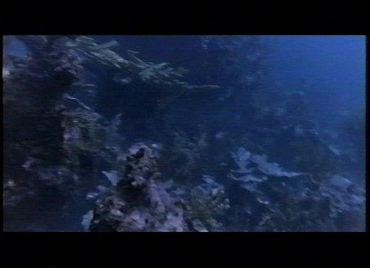 The Abyss (1989) LaserDisc Trailers