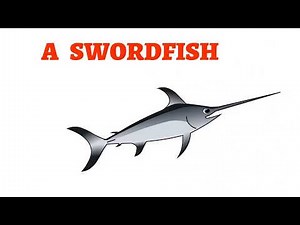 How To Draw A Realistic Swordfish