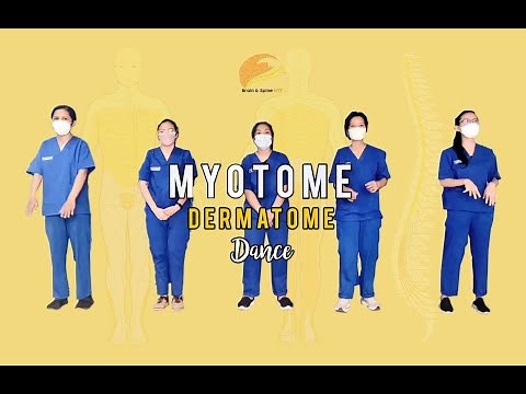 Dermatome & Myotome Dance