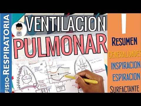 VENTILACIÓN Pulmonar, MECÁNICA RESPIRATORIA, INSPIRACIÓN ESPIRACIÓN, Fisiología Respiratoria | P1