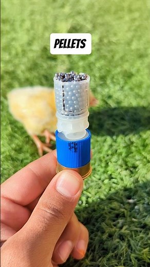 Unboxing 12 Gauge Shell