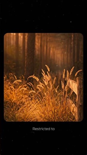 Powerful Duʿā for Wealth and Barakah | Authentic Hadith Duʿā #youtubeshorts #hadith #islamicshorts