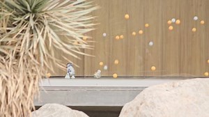 Woohoo it's Force Friday 2! New Star Wars R2-D2 & BB-9E Sphero Droids have just released and available at PB Tech - TODAY! | PB Tech