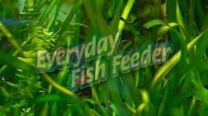 Ehiem Germany auto fish feeder is now Available ! Check out now ==> https://myaquariumshops.com/product/eheim-programmable-automatic-aquarium-food-dispenser-with-dryer-function/ . . . #myaquarium #myaquariumshops #kedaiaqurium #kedaionline #kedaionlinemalaysia #malaysiareefkeeper #malaysiafishkeeper #reeftankmalaysia #reefing101 #coralmalaysia #reefaquariumsetup #malaysiafishkeeper #fishkeeping #aquariumhobby #aquariumhobbyist | MyaquariumShops Online Store | Facebook