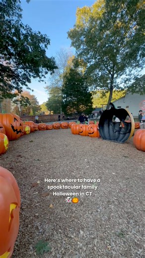345K views · 2.3K reactions | Connecticut delivers all kinds of chills.  From family-friendly to full-on fright nights, CT’s got your Halloween vibes covered! If you dare, visit ctvisit.com/articles/halloween-fun for a full list of CT Halloween experiences.  #ctvisit #halloween #spookyseason | Visit Connecticut | Facebook
